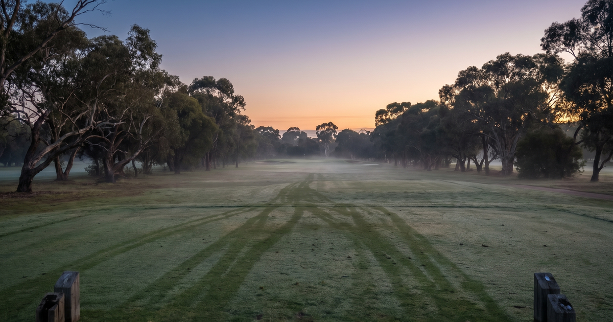 Anne Rollo Golf 4 Week Mental Game Changer Course — Online Golf Course ...