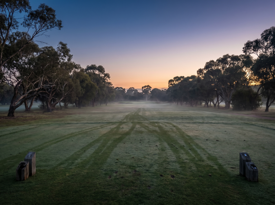 Anne Rollo Golf 4 Week Mental Game Changer Course